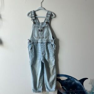 Light Blue Denim Overalls
